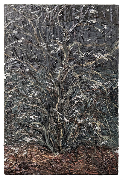 Water of Leith Blossom